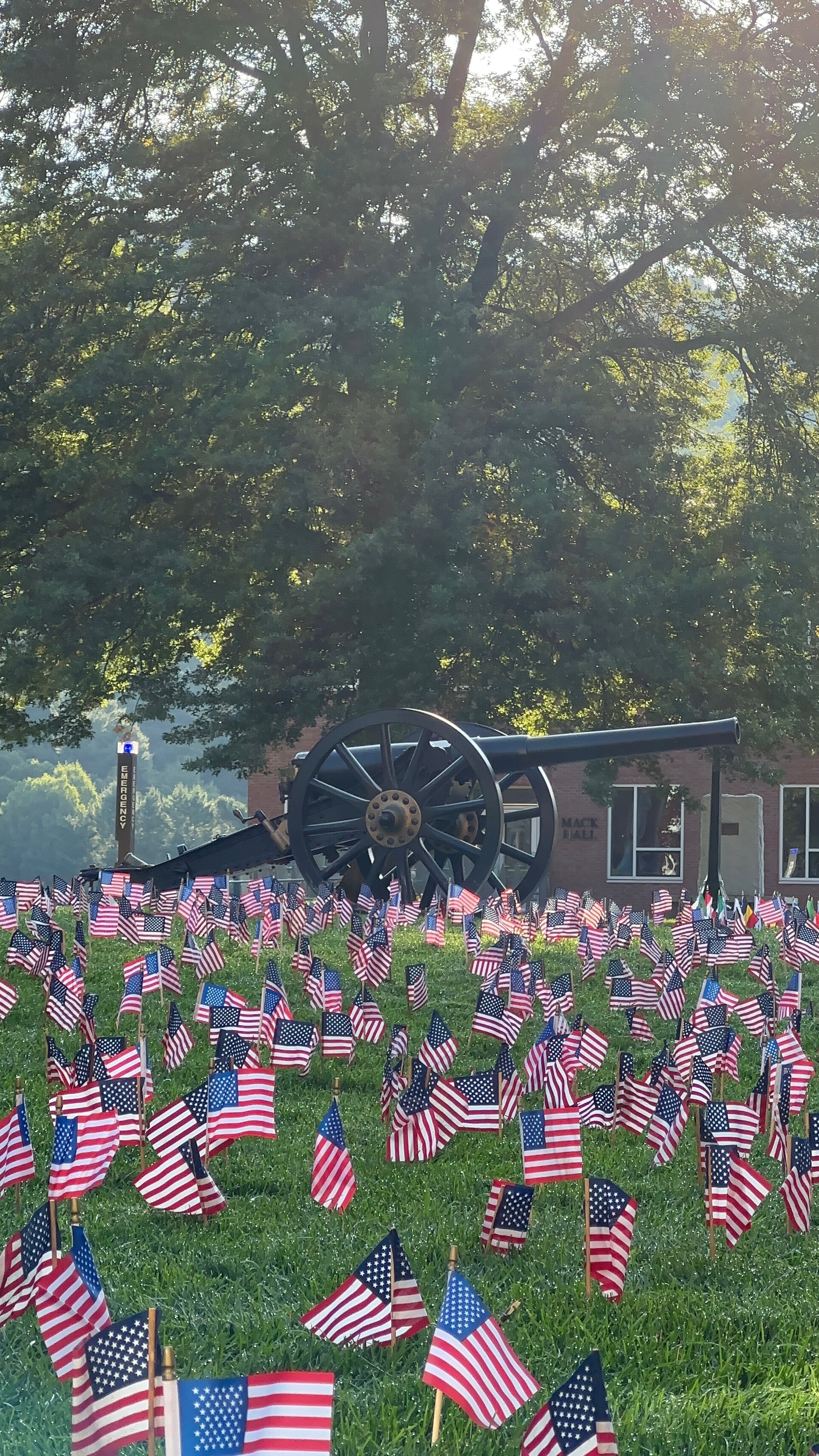 Numerous American flags planted in the ground in front of a cannon at Norwich University, with trees and a building in the background, during sunrise.