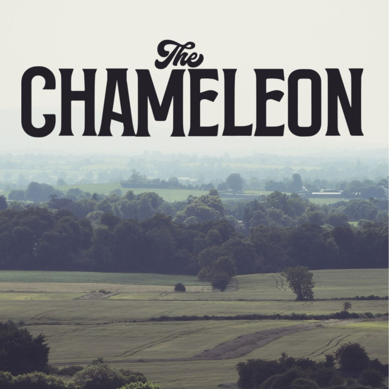 Cover for The Chameleon 2026 with title text above a landscape and stone ruins.