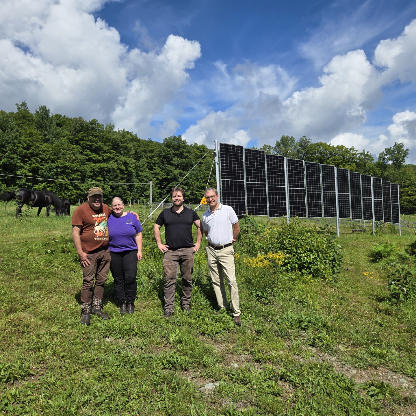 Four people stand in a grassy field beside a row of solar panels, with cattle grazing nearby.
