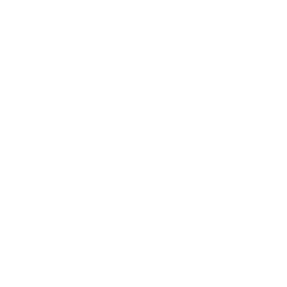 Norwich Shield Logo