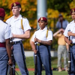 shock platoon performance