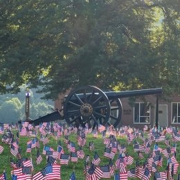 Numerous American flags planted in the ground in front of a cannon at Norwich University, with trees and a building in the background, during sunrise.