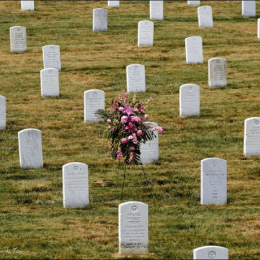 Image of graves at Arlington national cemetery and a wreath of flowers. 