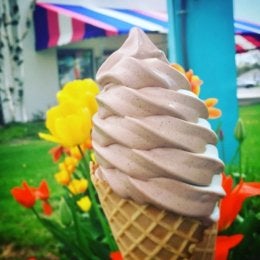 The top swirl of a creemee / soft-serve ice cream and cone, with flowers, building with colorful awning in background.