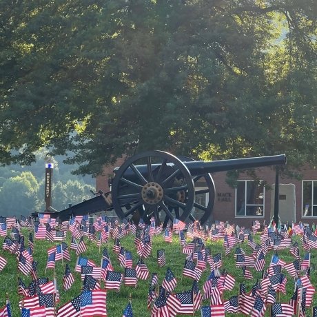 Numerous American flags planted in the ground in front of a cannon at Norwich University, with trees and a building in the background, during sunrise.