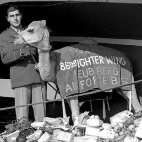 Soldier stands beside a camel wearing a banner in an aircraft cargo area filled with supplies.