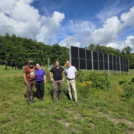 Four people stand in a grassy field beside a row of solar panels, with cattle grazing nearby.