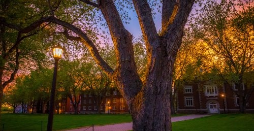 Historic brick campus buildings surrounded by large trees at sunset, with illuminated pathways and lampposts casting a warm glow across the lawn.