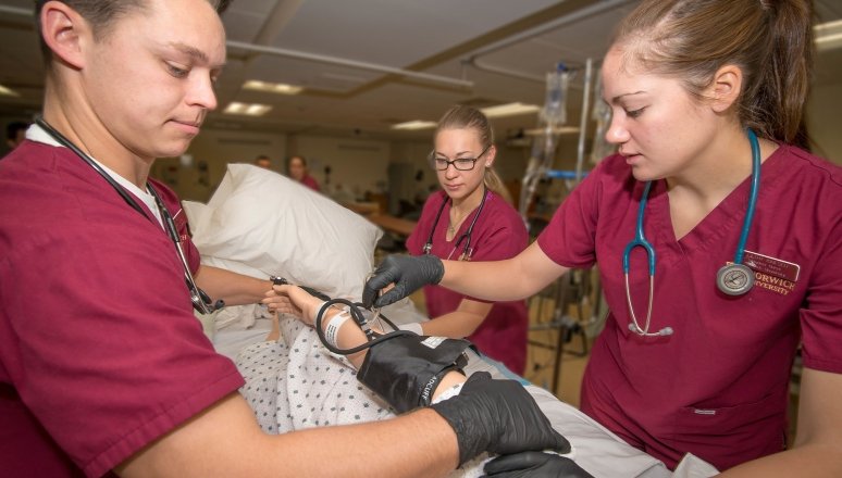 Norwich Nursing Students in Action