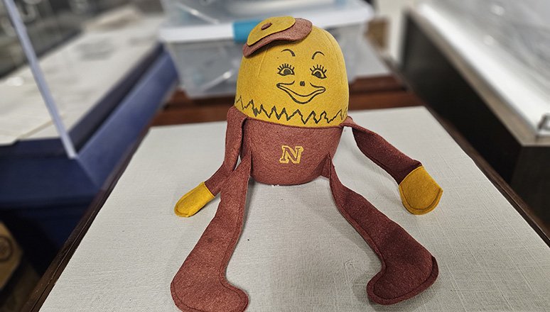 Quirky Norwich stuffy paraphernalia