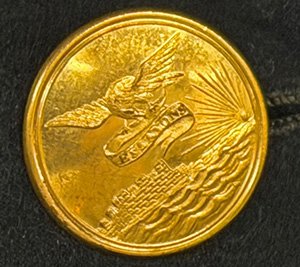 Gold button with eagle and I Will Try
