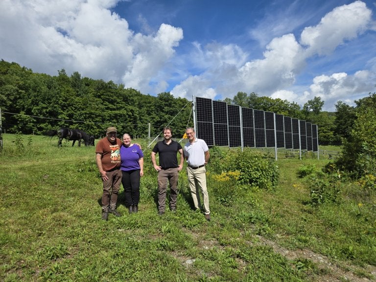 Four people stand in a grassy field beside a row of solar panels, with cattle grazing nearby.