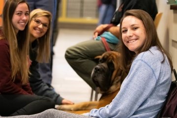 Therapy Dog