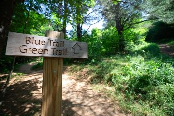 Shaw Outdoor Trail Sign - Blue Trail Green Trail
