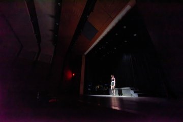 The Pegasus Players Chicago stage wide shot